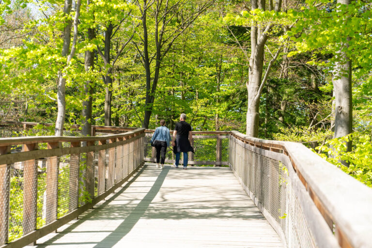 WIeża widokowa Krynica-Zdrój